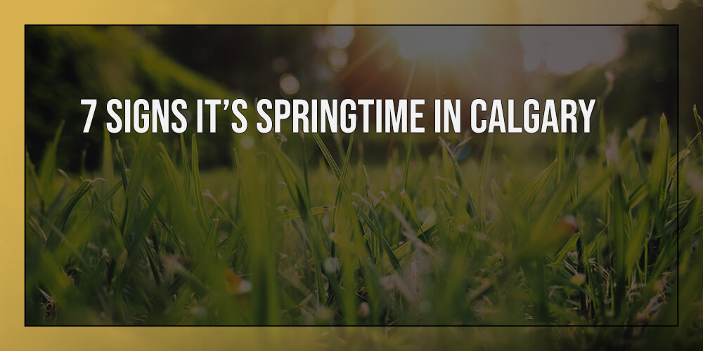 spring time calgary